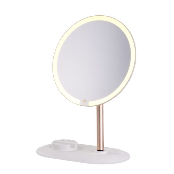 360° Rotation Detachable Lighted Makeup Table LED Mirror Gms812A